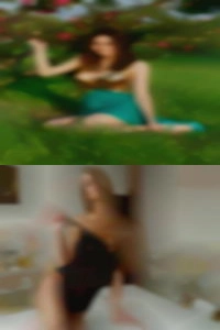 Montaguedice stories